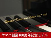 京工芸の巨匠、服部俊昇氏の夢の芸術作品 YAMAHA(ヤマハ)センチュリーカスタム トラディショナル「遊想」(100周年記念) 整備済 保証付 グランドギャラリー  愛知県 岡崎 | グランドギャラリー東京